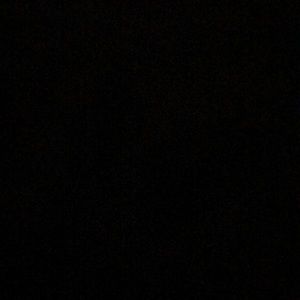 Meet your Posher, Maggie